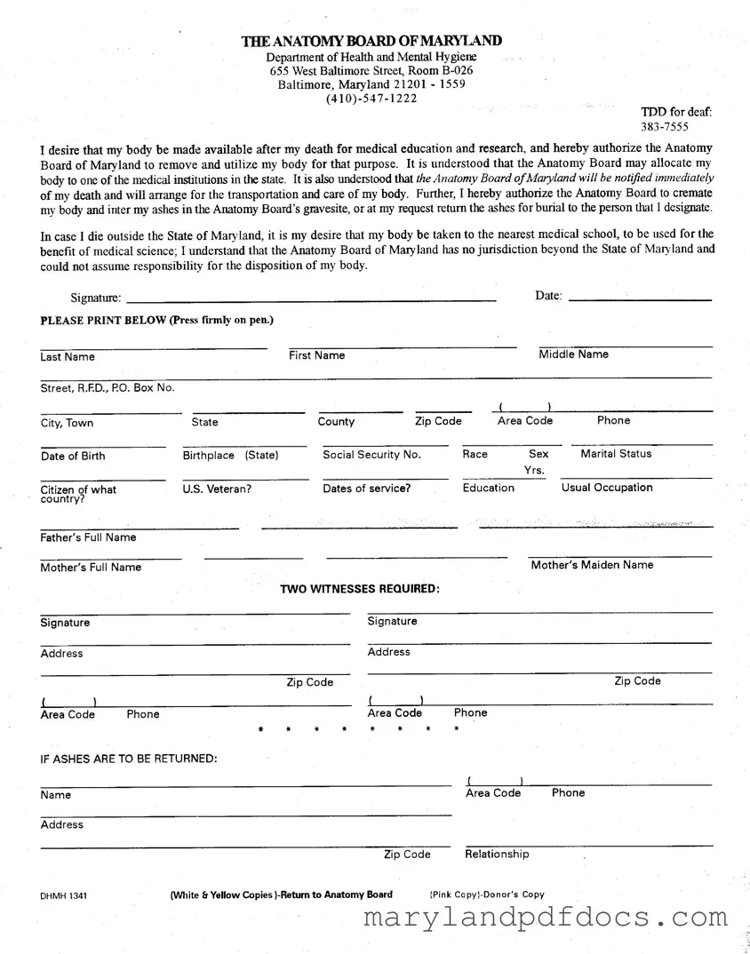Fill Out Your Maryland Anatomy Template